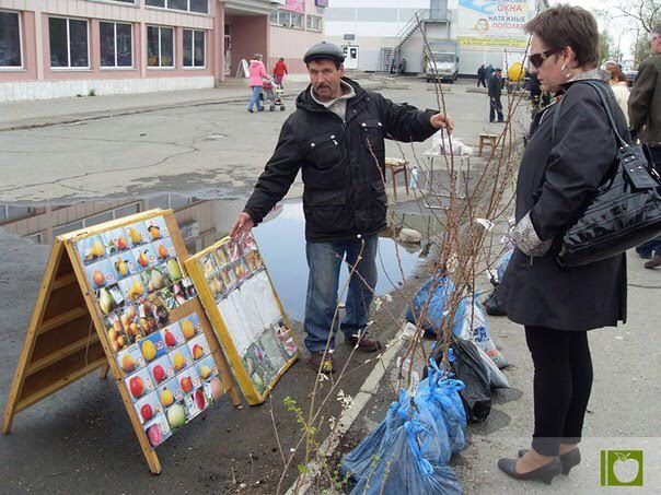 ЧТО НЕОБХОДИМО ЗНАТЬ ПРИ ПОКУПКЕ САЖЕНЦЕВ