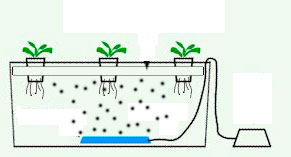 Гидропоника. Система глубоководных культур
