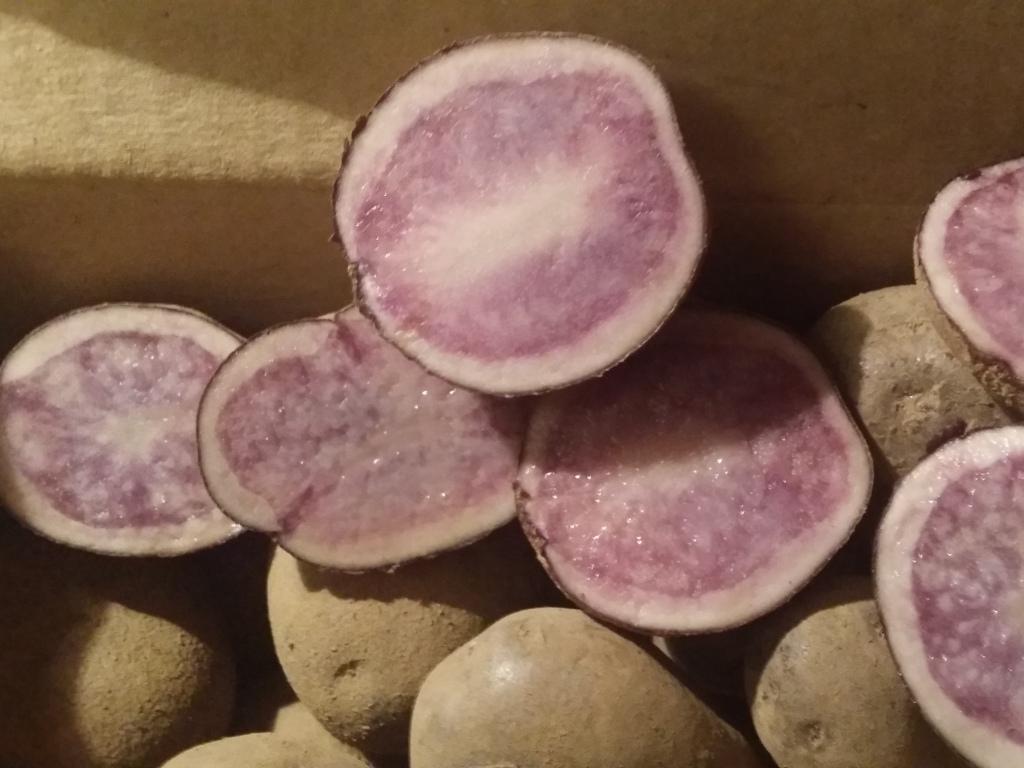 Картофель Фиолетовый - Сирень