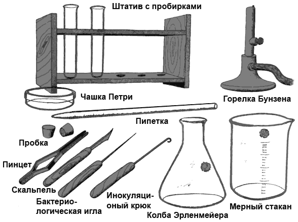 Оборудование для получения мицелия