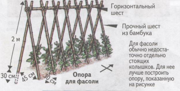 ОПОРЫ-ПИРАМИДКИ ДЛЯ гороха и фасоли