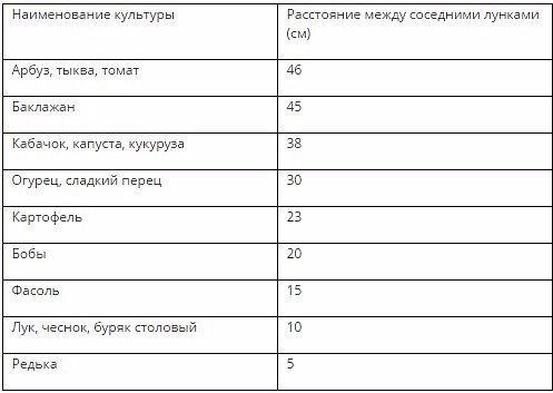 Выращивание овощей по Джону Джевонсу