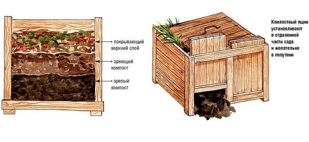 зачем нужен компост и как его приготовить